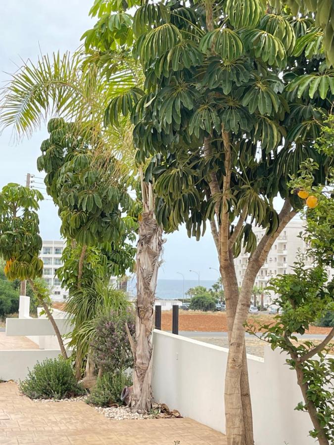 Tonia Seaview Villas Protaras Buitenkant foto